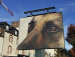img20251007172917-copie img20251007172917-copie