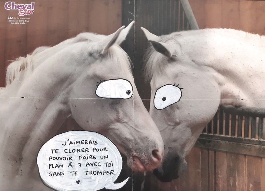 Lendroit éditions - Calendrier 2023 Passion chevals